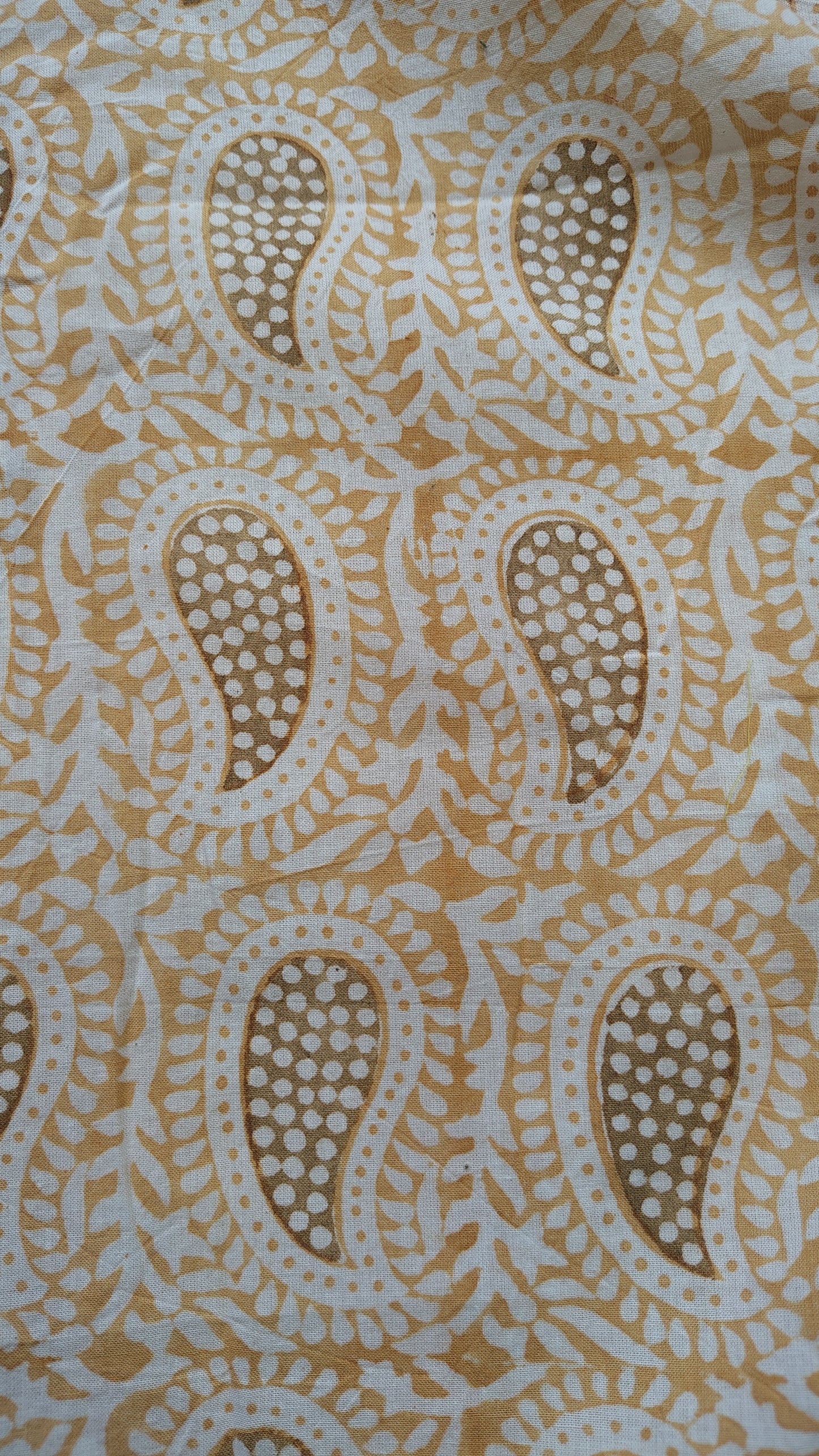Yellow Bagh Paisley  Print